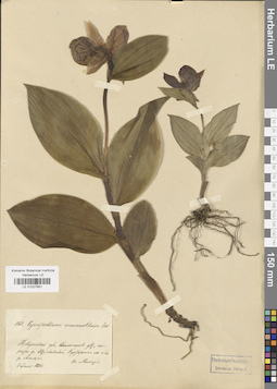 LE 01027851