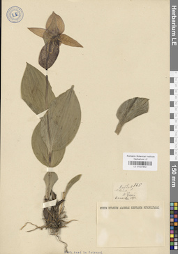 LE 01027852