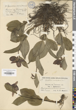 LE 01027853