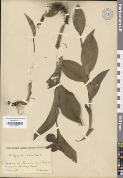 LE 01027857
