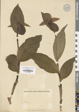 LE 01027858