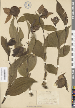 LE 01027859