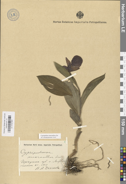 LE 01027861