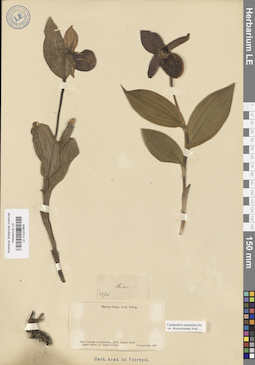LE 01027864