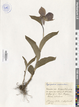 LE 01027866