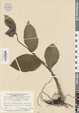 LE 01027867