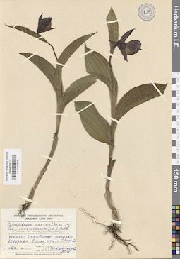LE 01027868