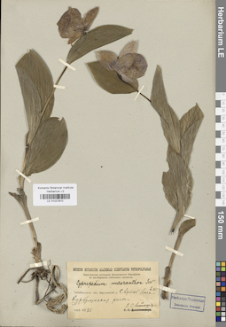 LE 01027870