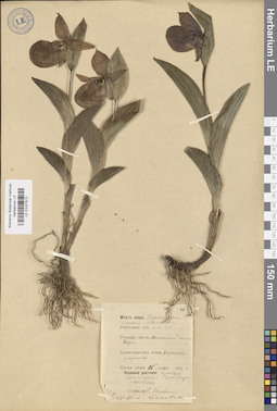LE 01027872