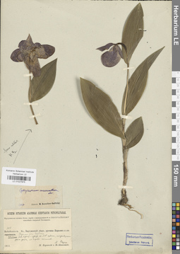 LE 01027875