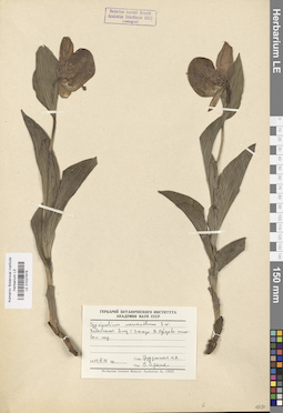 LE 01027876