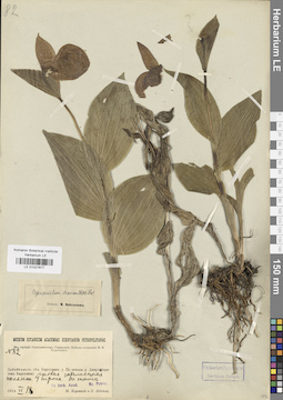 LE 01027877