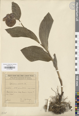 LE 01027880