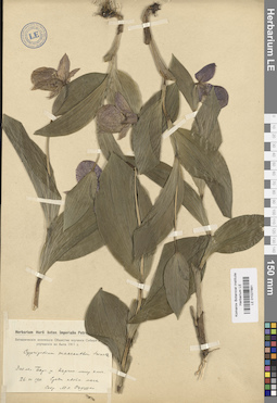 LE 01027881