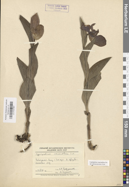 LE 01027887