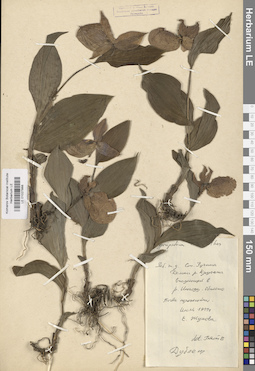 LE 01027888