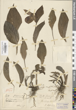 LE 01027889