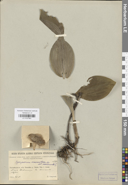 LE 01027891