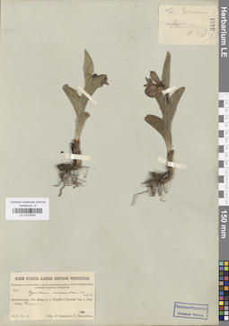LE 01027894