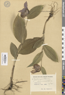 LE 01027897