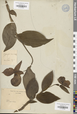 LE 01027902