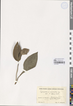 LE 01272338