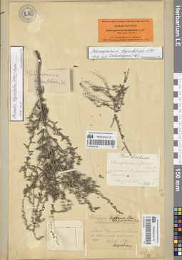 LE 01053148