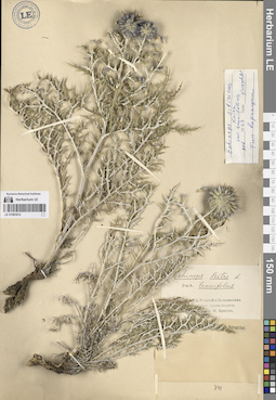 LE 01083412