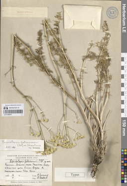 LE 01266970