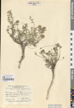 LE 01151927
