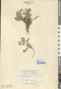 LE 01151928