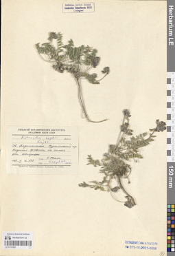LE 01151930