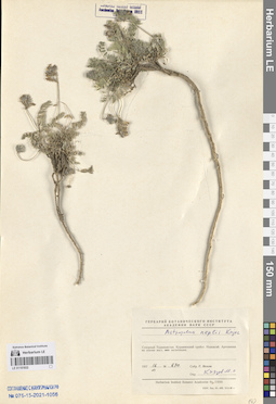 LE 01151932