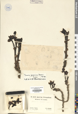 LE 01012241