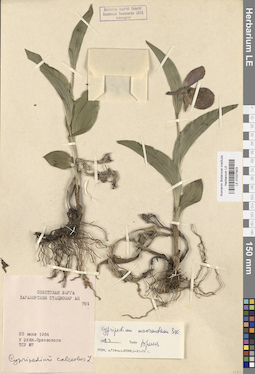 LE 01027903