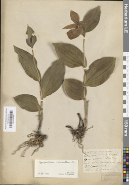 LE 01027905