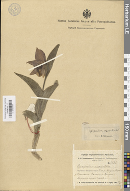LE 01027907