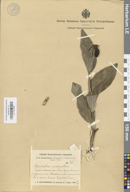 LE 01027908