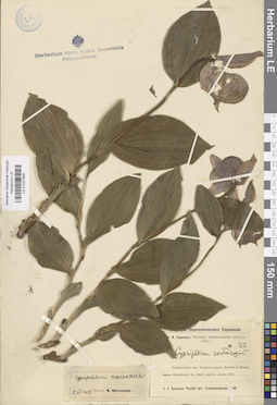 LE 01027909