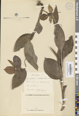 LE 01027911