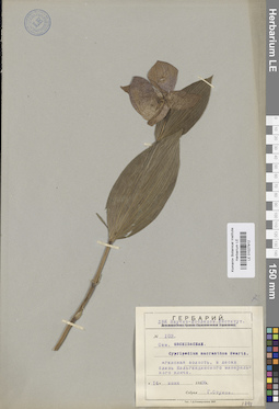 LE 01027912
