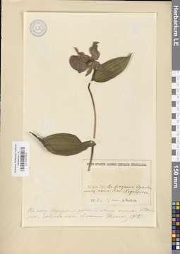 LE 01027915