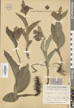 LE 01027927