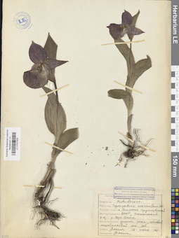 LE 01027930