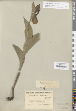 LE 01027935