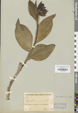 LE 01027938