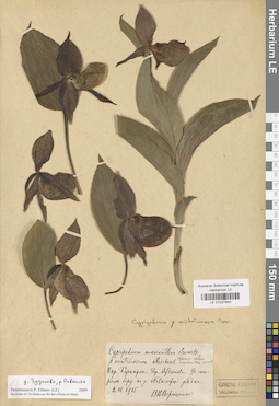 LE 01027944