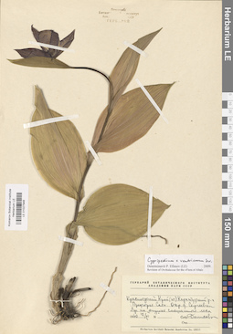LE 01027946