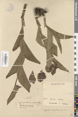 LE 01027949