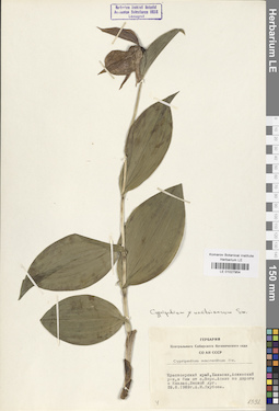 LE 01027954